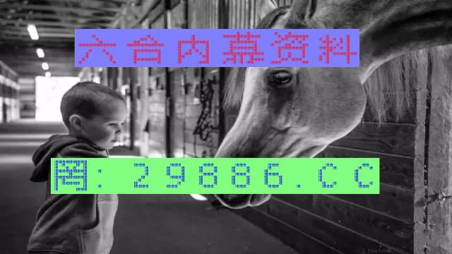 澳门特马网站.www与7777788888精准管家婆,详细解答、解释与落实-警惕虚假宣传-详细解答、解释与落实