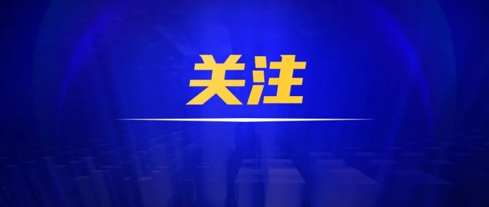 2025今晚必出三肖,精选解析、解释与落实